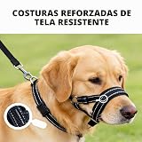 Ver la foto 4