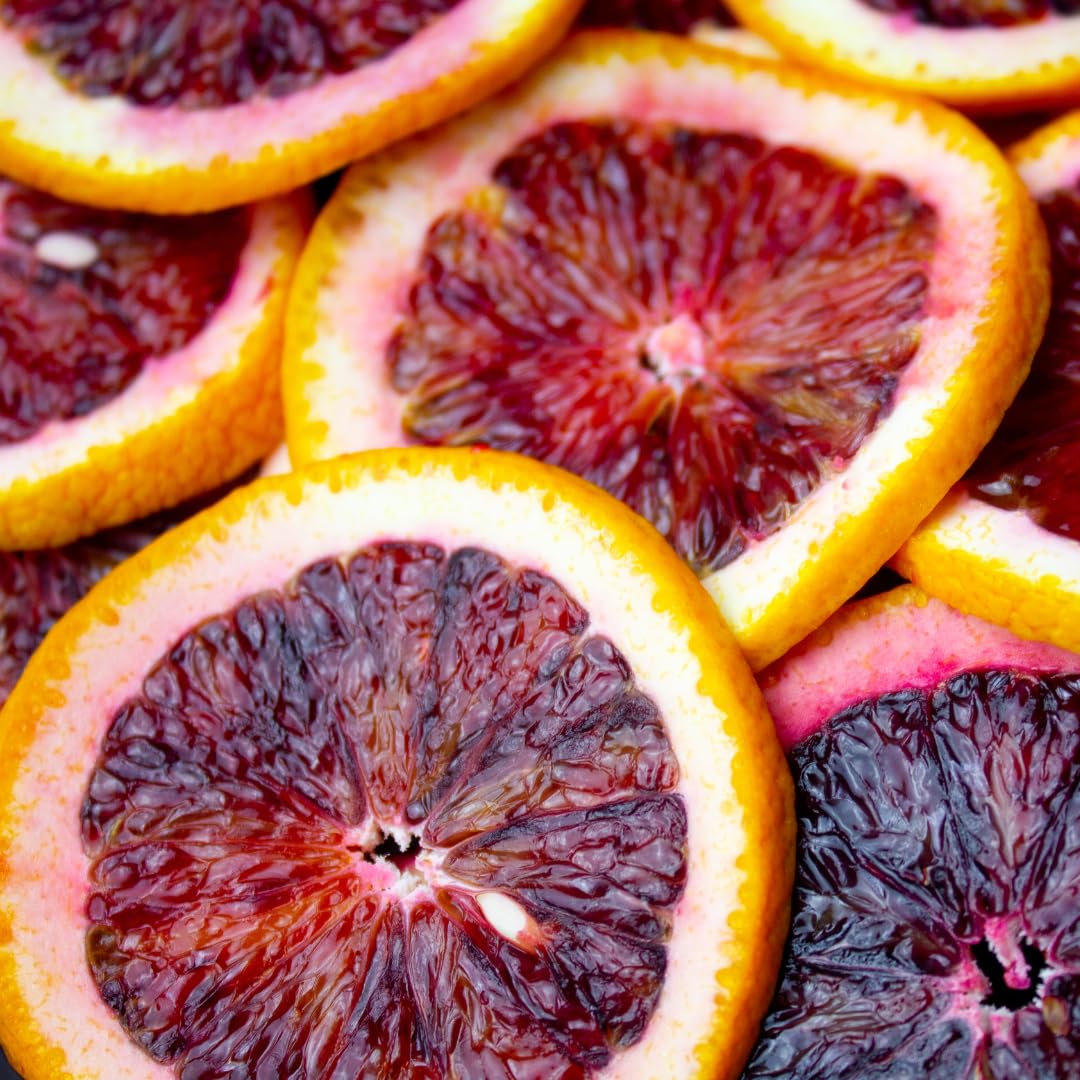 Agrumes Orange Sanguinello fruit à pulpe rouge Plante Fruitière pot 35 cm