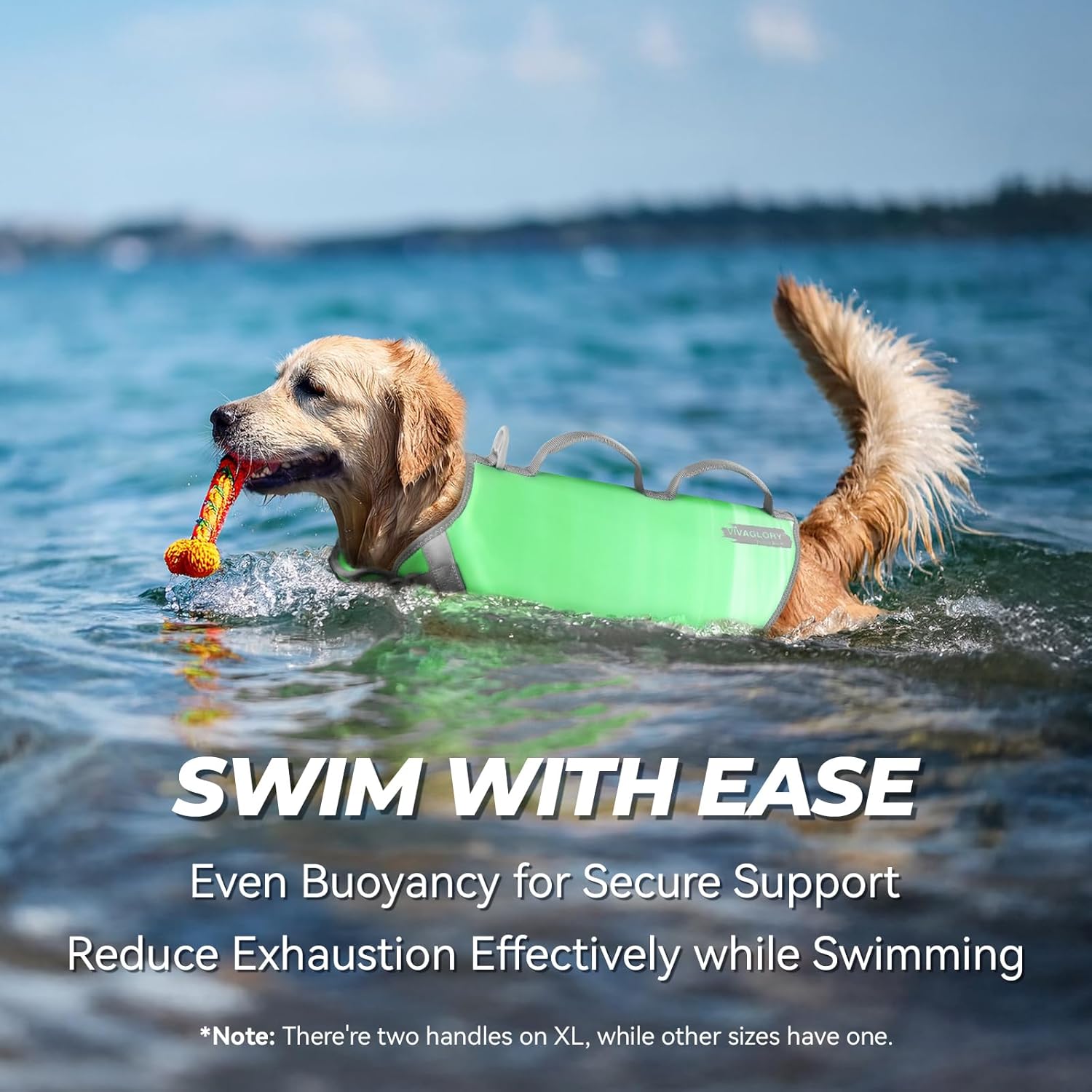 VIVAGLORY + Neoprene Dog Life Vest + Sports Style Dog Life Jacket, Swimming Vest with Handle, Ripstop & Buoyancy