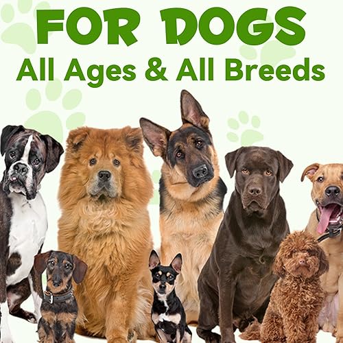 Miniatura 8 de Probióticos para perros, probióticos 3 en 1 para perros y enzimas digestivas para mascotas, apoya la salud intestinal, picazón en la piel, alergias,