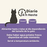 Ver la foto 3