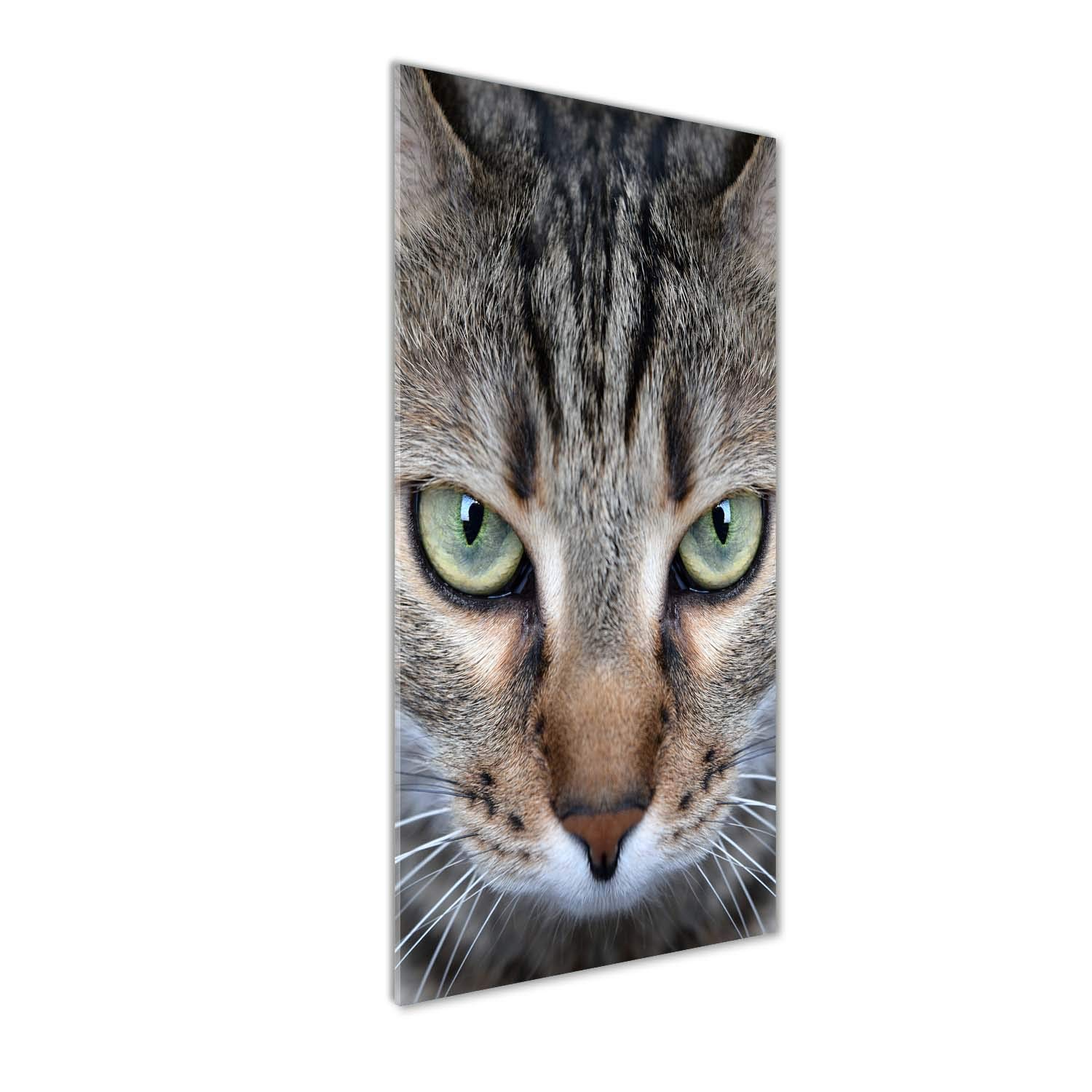 Tableaux pour la mur en verre acrylique Tulup 50x125 cm décor chat brun