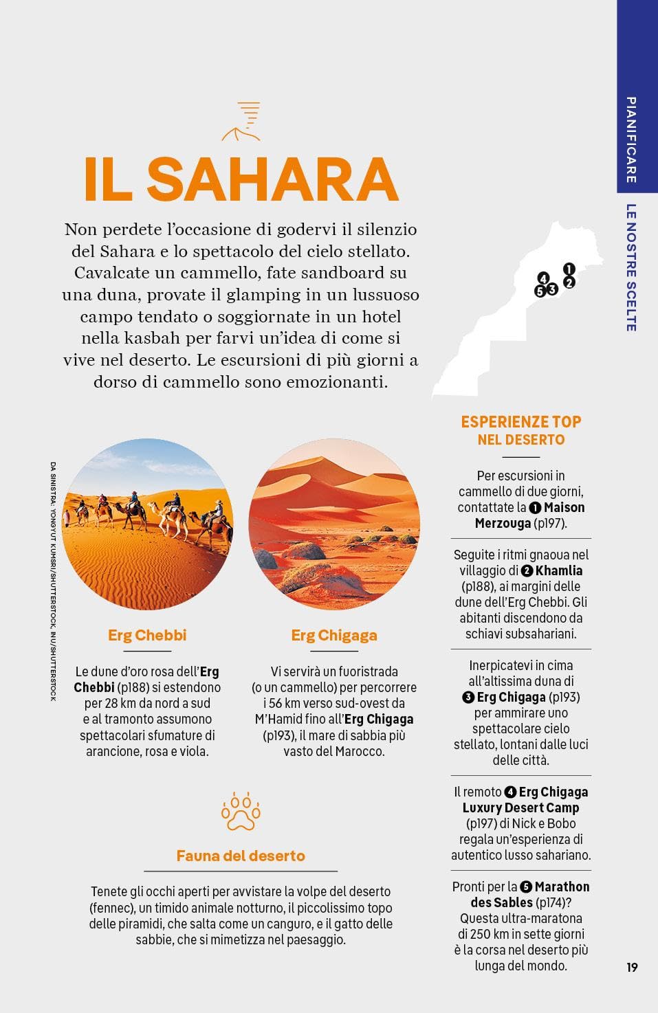 MAROCCO. Le guide di viaggio più vendute al mondo. Itinerari esperienze e consigli degli autori: molto più di una guida turistica!. Marrakech, Alto Atlante, Oasi meridionali,il Rif, Fès, Medio Atlante