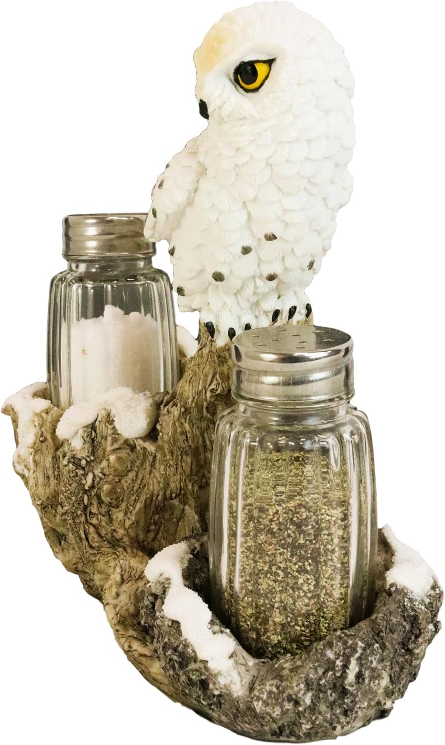 Ebros Gift Baby Owlet Snow White Owl Perching On Snowy Tree Branch Glass Salt And Pepper Shakers Holder Display Figurine Set 6.5" Tall Wildlife Forest Spirit Nocturnal Birds Home Decor Accent