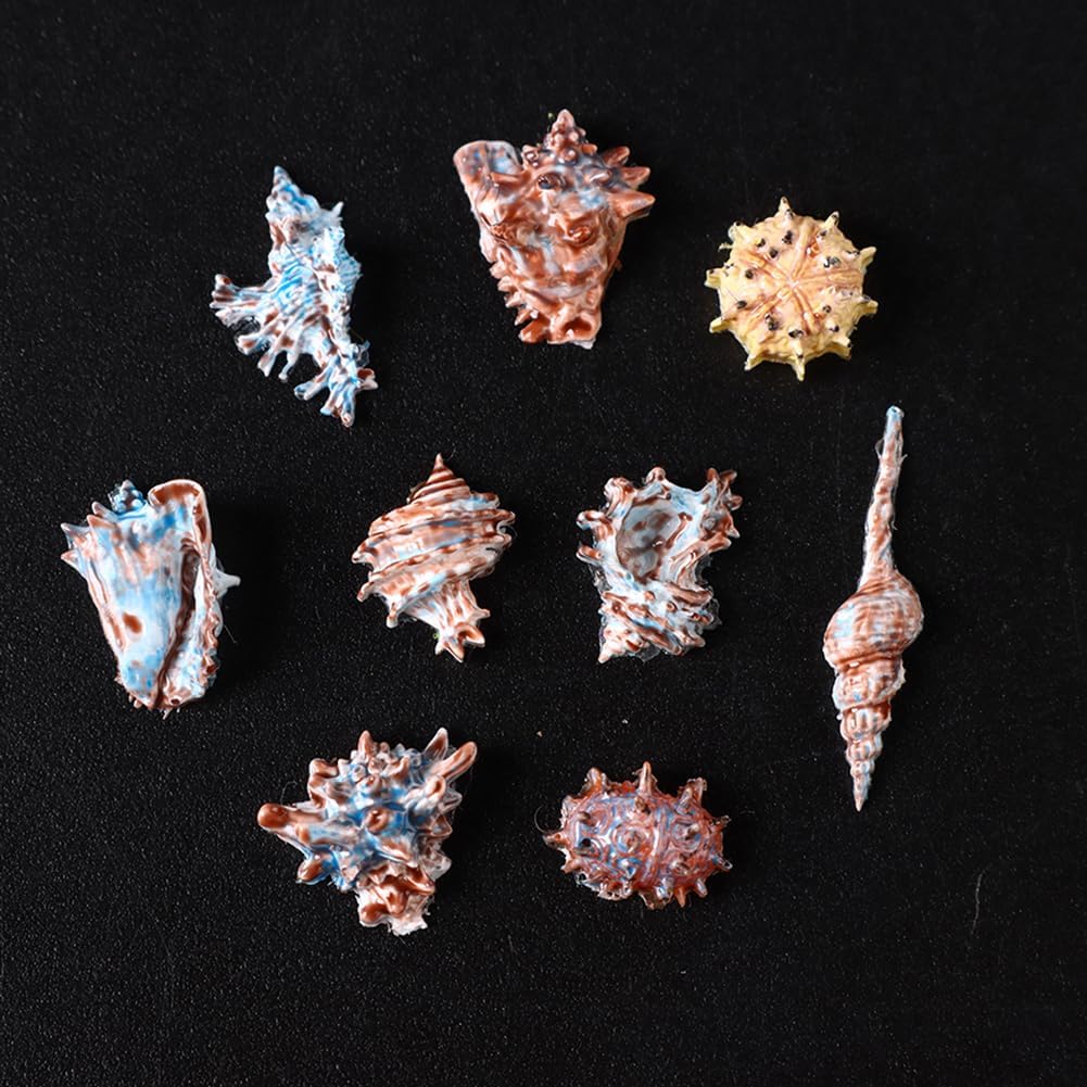 Silicone Nail Art Mold Ocean-Themed Conch Sea Urchin Designs for Manicure | 3D Translucent Carving Mould for Nail Charms Making Tools