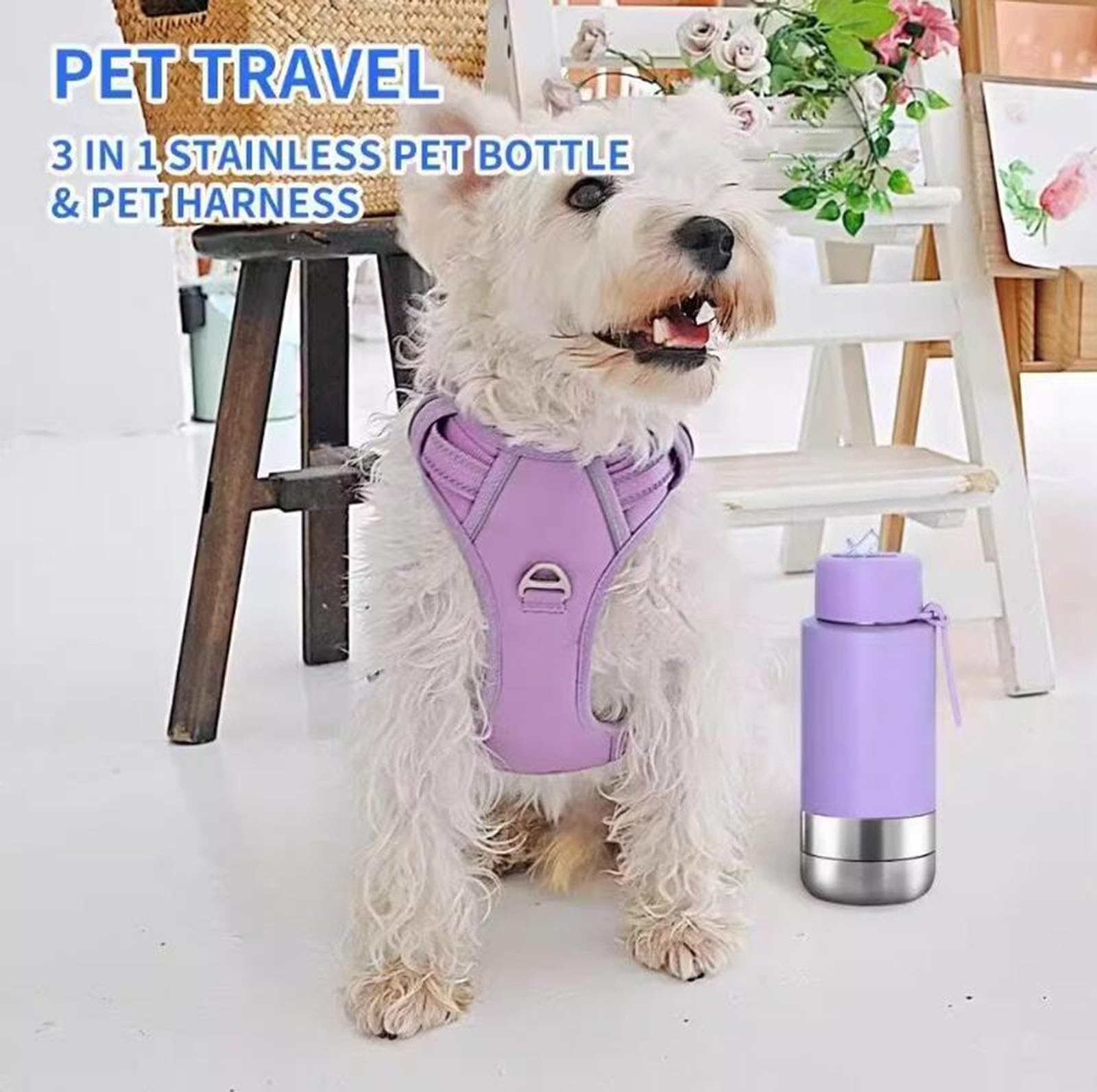 Edelstahl Hundetrinkflasche 950ml Auslaufsichere Wasserflasche für Hunde für Hunde & Katzen - Camping Reise & Outdoor Spaziergang BPA-frei(Orange)