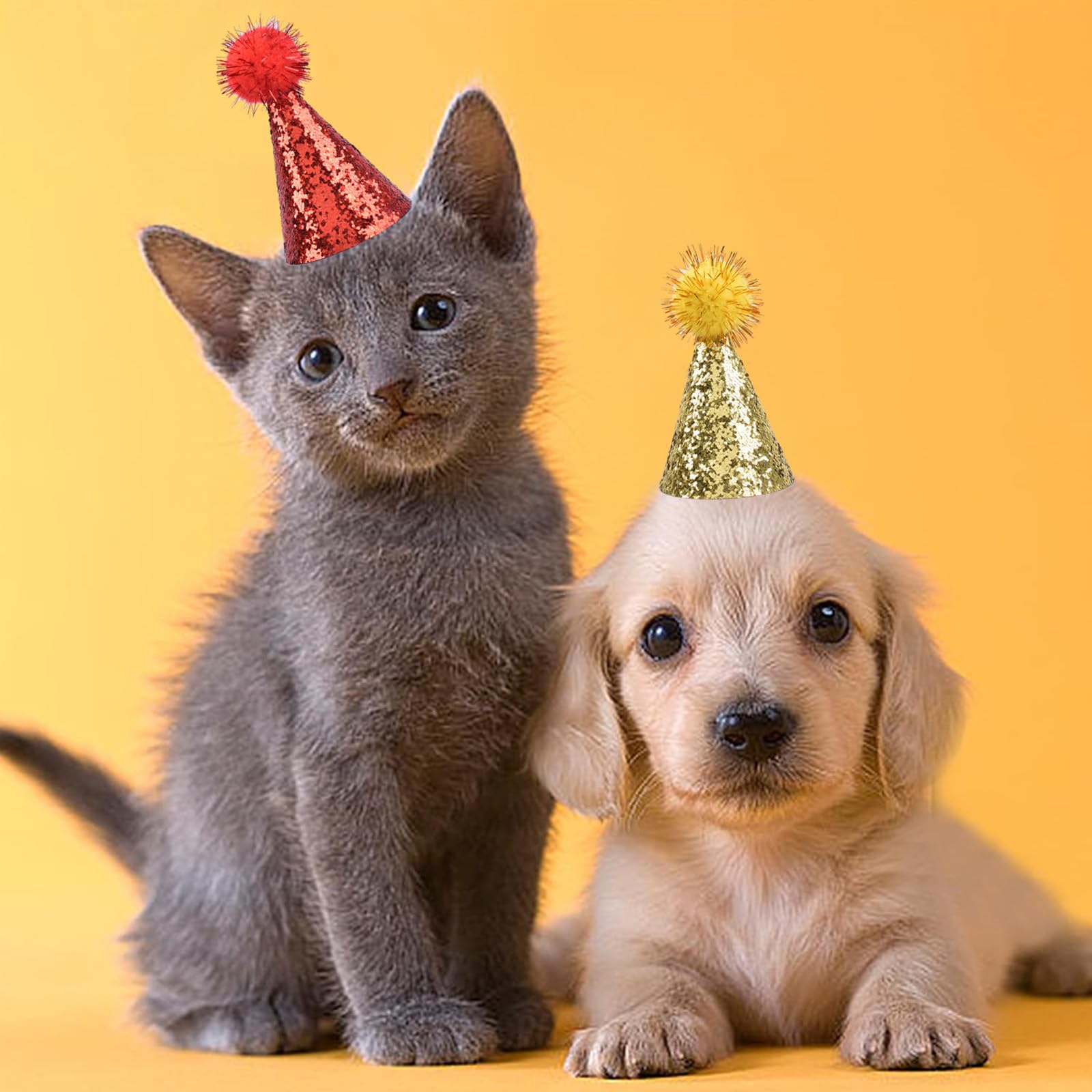 Hunde-Geburtstagshut – 10 Stück Mini-Partyhüte, Bunt Mit Glitzer, Verstellbar | Für Haustiere, Stofftiere, Katzen