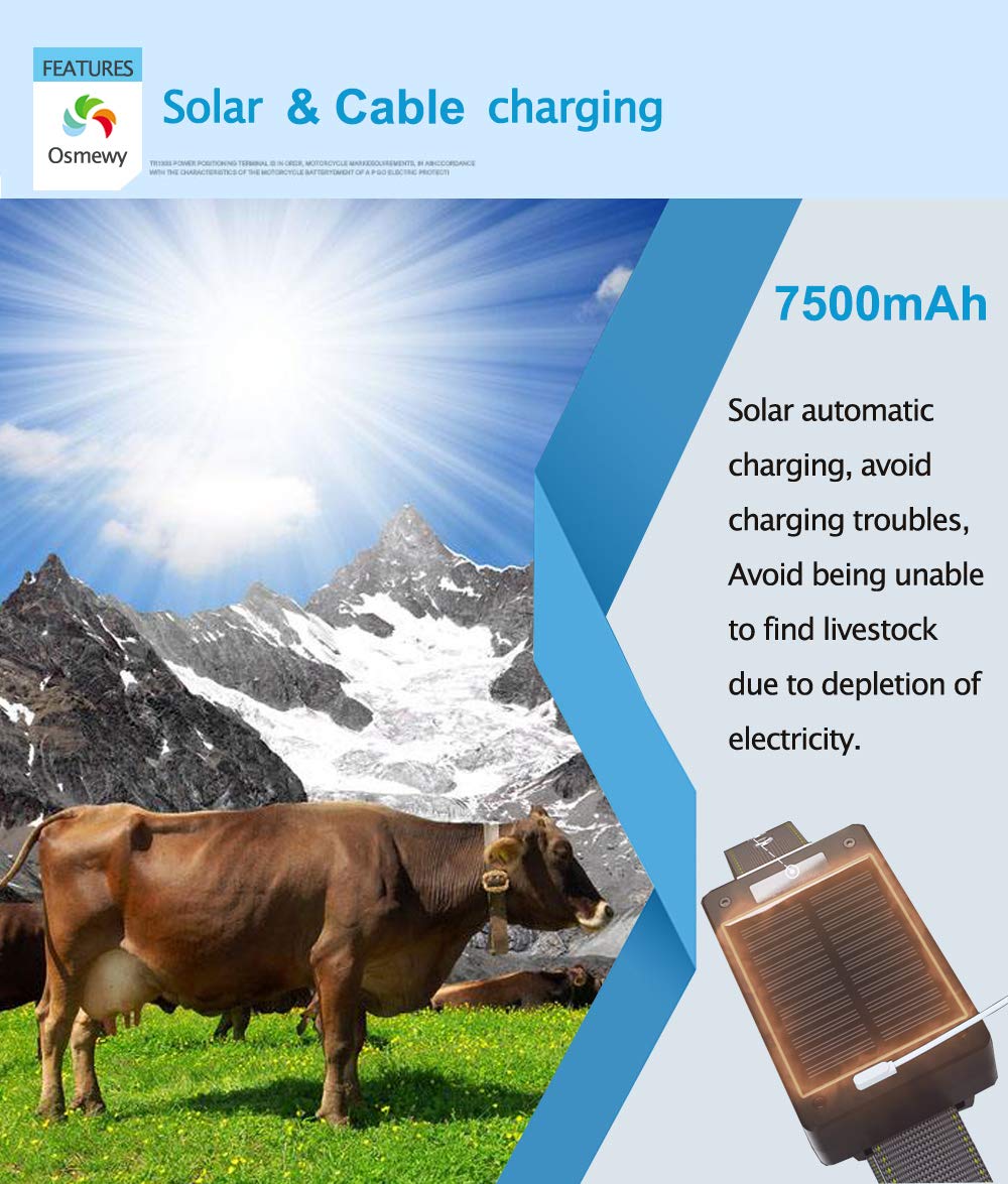 Localizador GPS Para Animales - Con Carga Solar, Impermeable IP67, Para Ganado, Cabras, Caballos