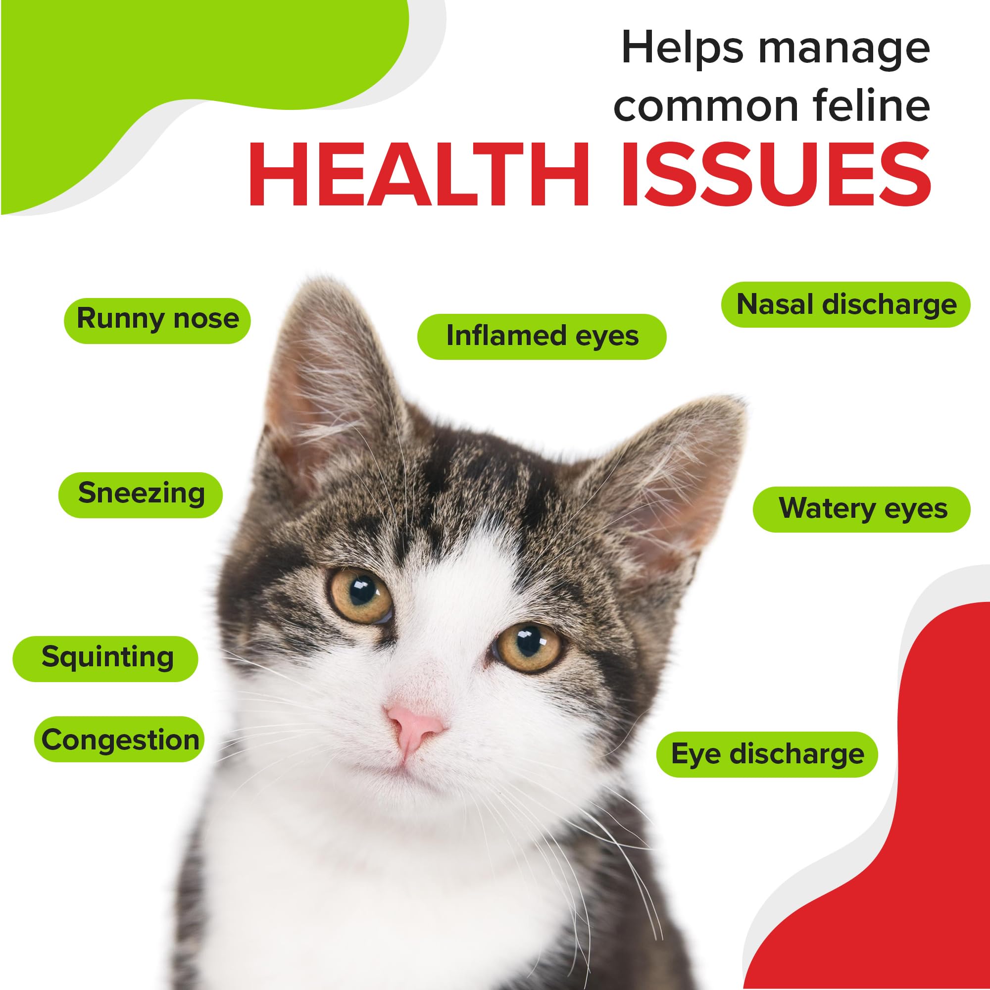 Trulysine Viralysine L-Lysine Gel Supplement for Cats, 5oz - Cats & Kittens of All Ages - Immune Health - Sneezing, Runny Nose, Squinting, Watery Eyes - Palatable Maple Flavor — Amazon image 7