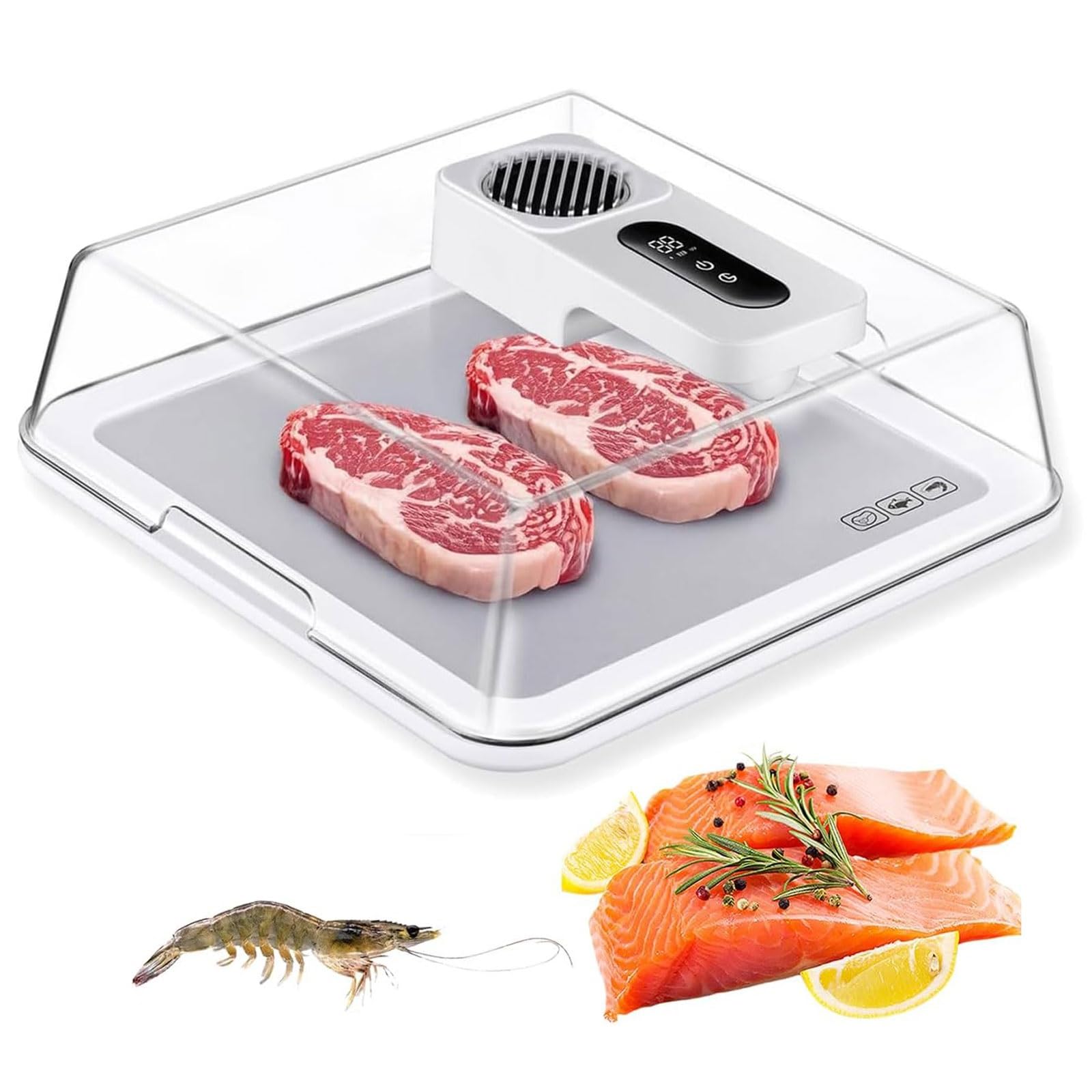 GYKOZY Electric Thawing Board, 4.2L Meat Defrosting Tray with Visual Lid, Rechargeable Smart Meat Thawing Box with Airflow Technology, for Frozen Steak, Chicken, Fish, Shrimp and Seafood (White)
