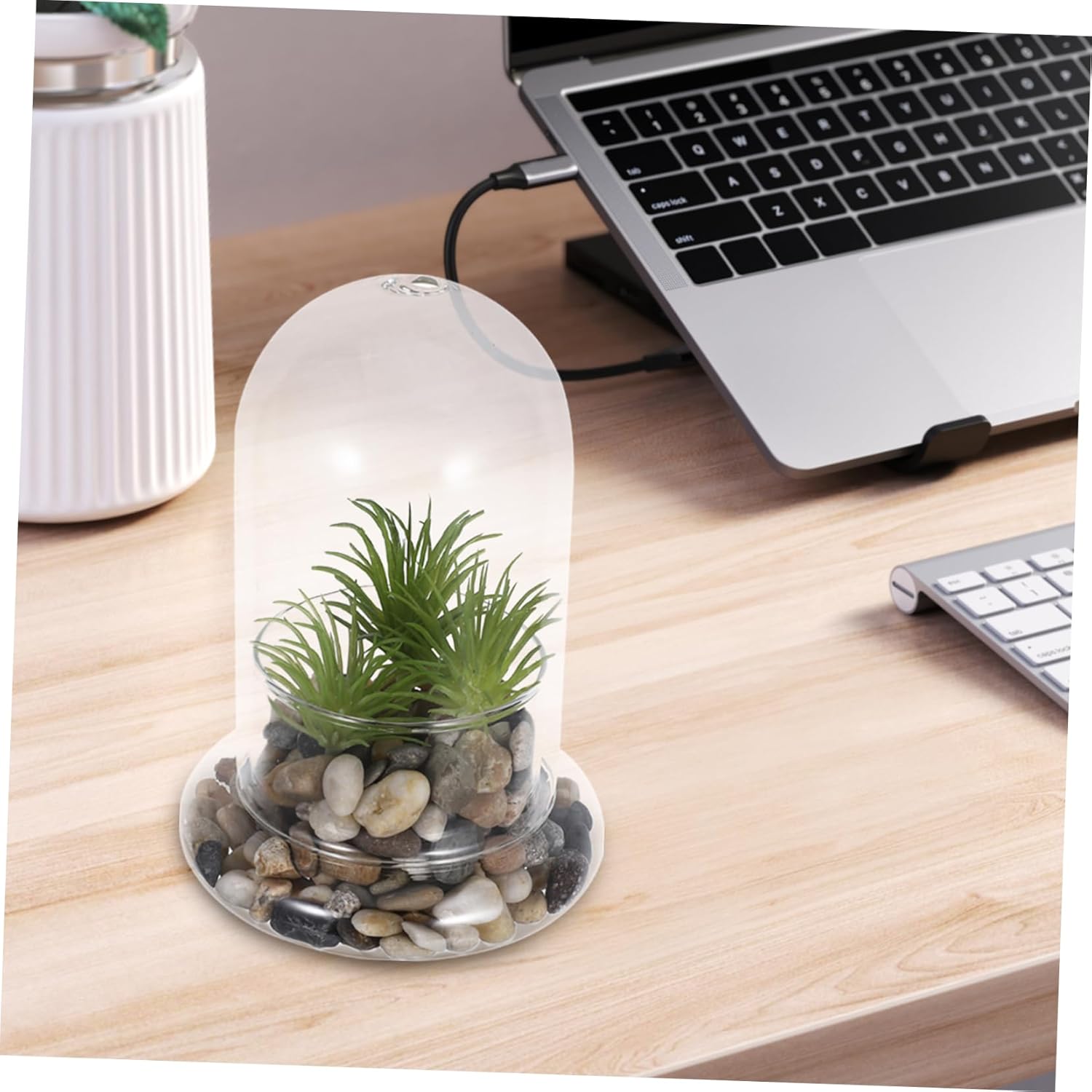 Healifty 2pcs Ecological Bottle Micro Landscape Decoration High Borosilicate Glass DIY Terrarium Jars for Desk Nature Display