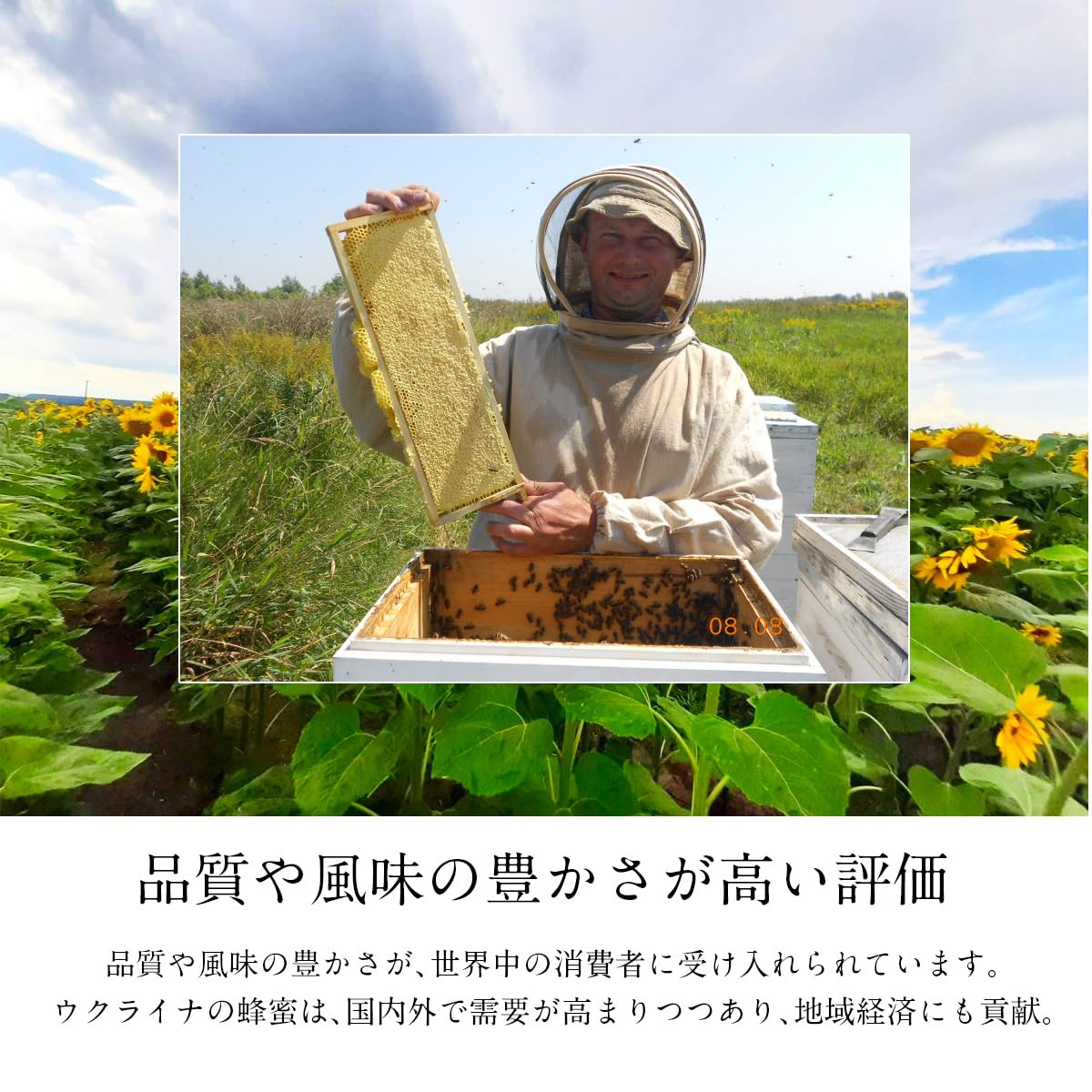 Amazon.co.jp: BeeWorks(ビーワークス) ウクライナ産 純粋はちみつ