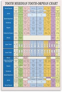 Tooth Organ Meridian Chart Vintage Tooth Anatomy Knowledge Educational Posters Dental Meridian Chart Dental Office Poster Unframe-style 12x18inch(30x45cm)