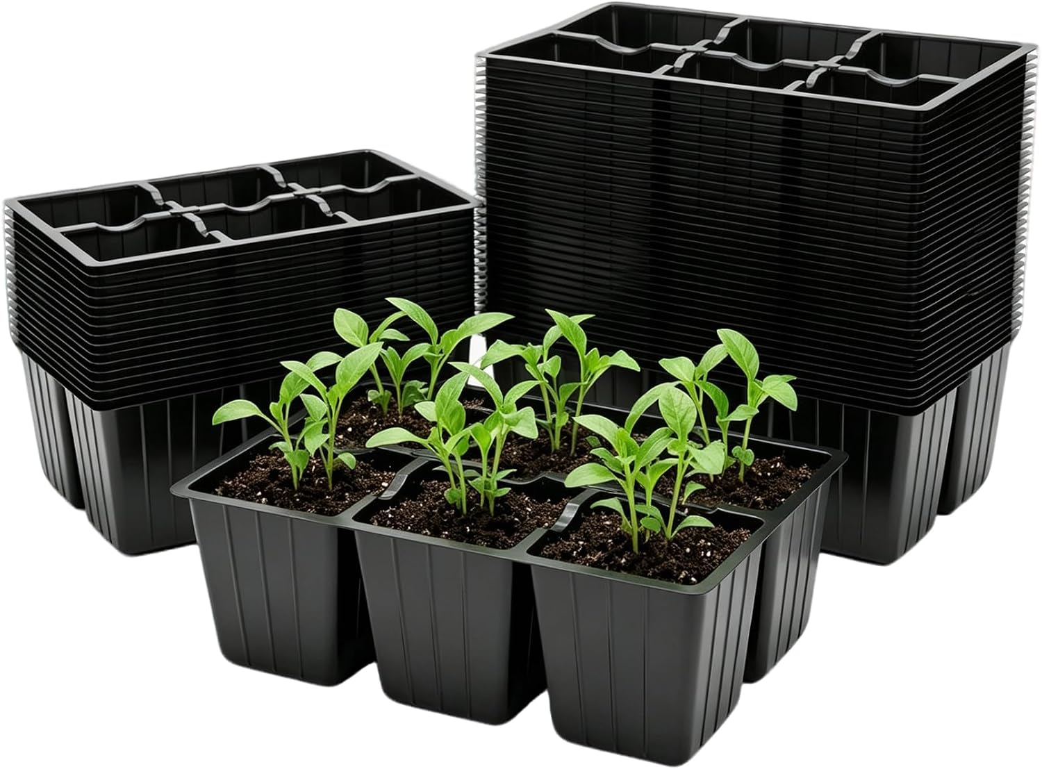 40 Pack 6-Cell Seed Starter Tray for Seedlings with Drainage Holes