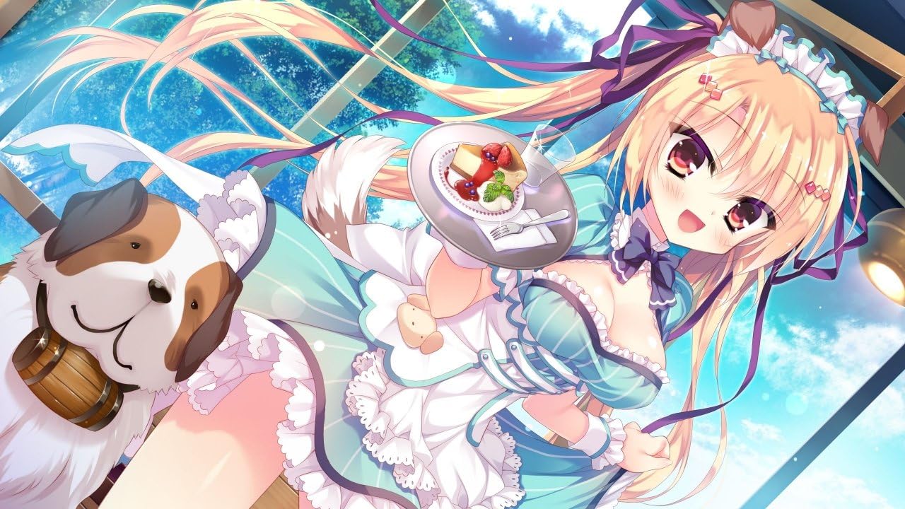 Amazon わんにゃん アラモード どっちにするの わんにゃんhなカフェ事情 Pcソフト Pcソフト