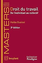 Download Droit du travail: De l'individuel au collectif PDF