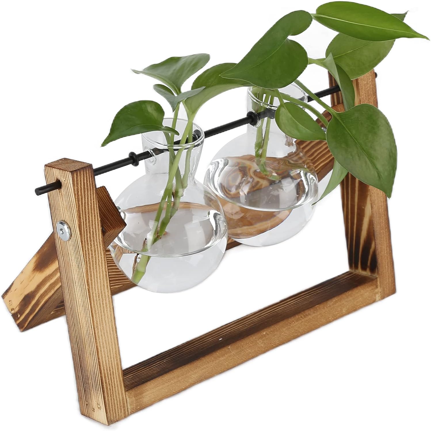 GLOGLOW Desktop Propagation Station, Metal Swivel Holder Plant Terrarium with Wooden Stand Planter Bulb Glass Vase (Retro Frame + Double Bottle)