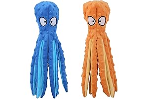 Consuela the Cactus Plush: Interactive Chew Toy for Dogs