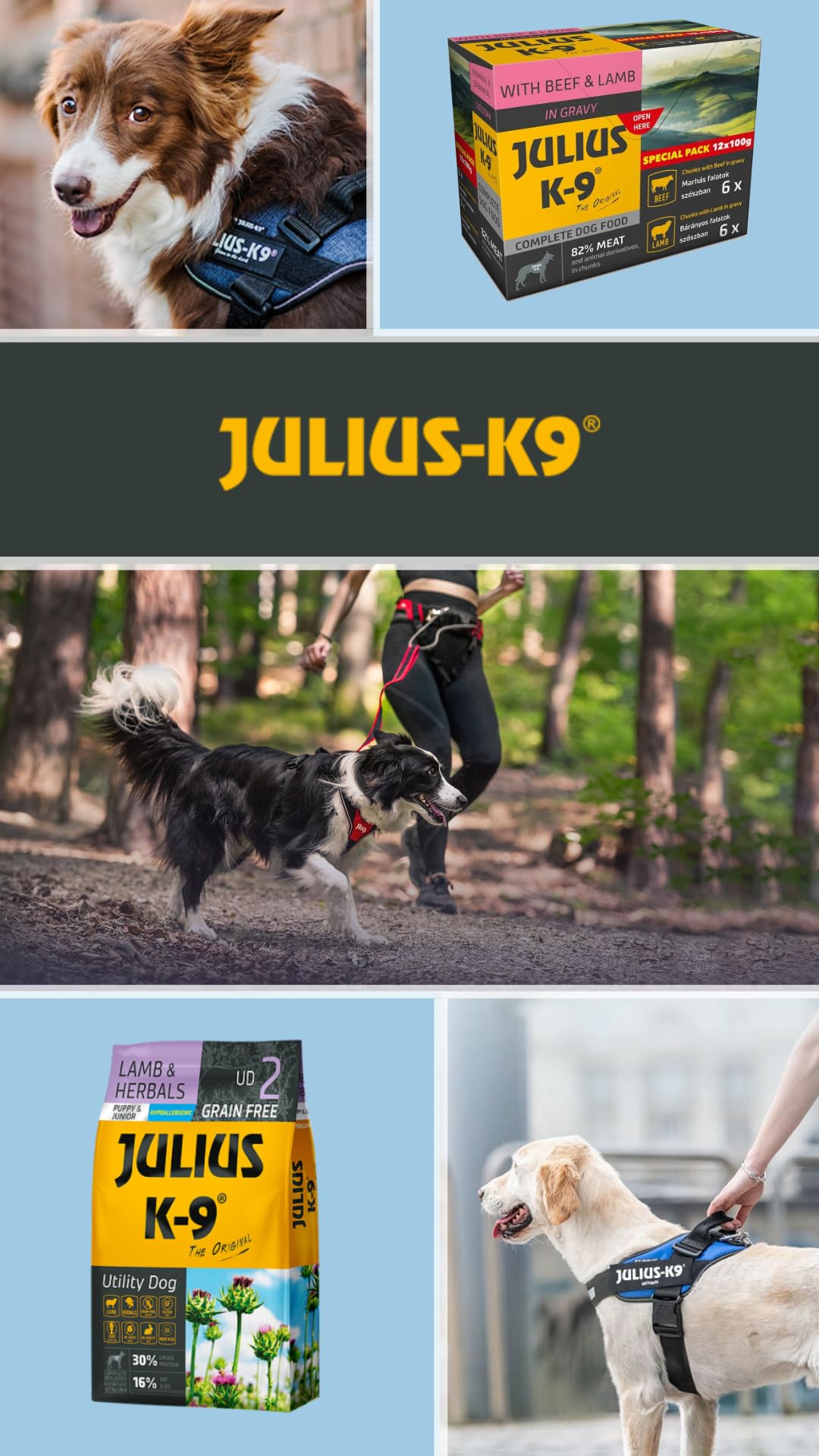 Julius K9 - Getreidefreies und hypoallergenes Hundefutter auf Wildschwein/Lamm/Rind & Kartoffelbasis - Für erwachsene Hunde kleiner Rassen (10kg)