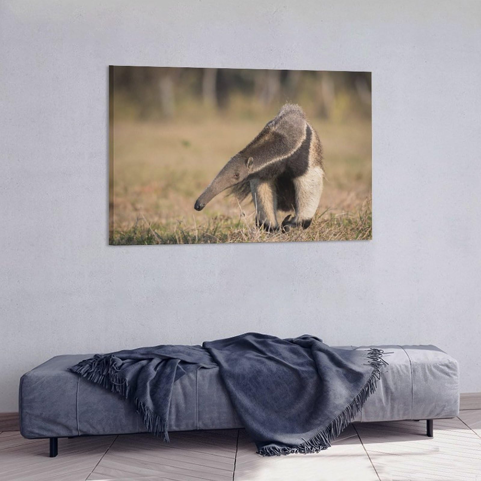 Amazon.com: Animal Giant Anteater Room Aesthetics Posters Canvas