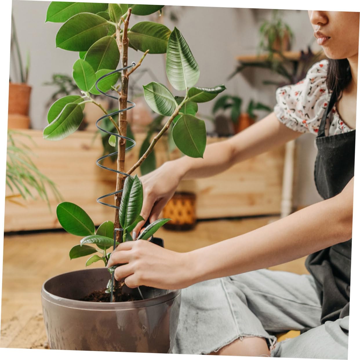 Lot de 8 Tuteurs Spiralés en Fer pour Plantes de Jardin
