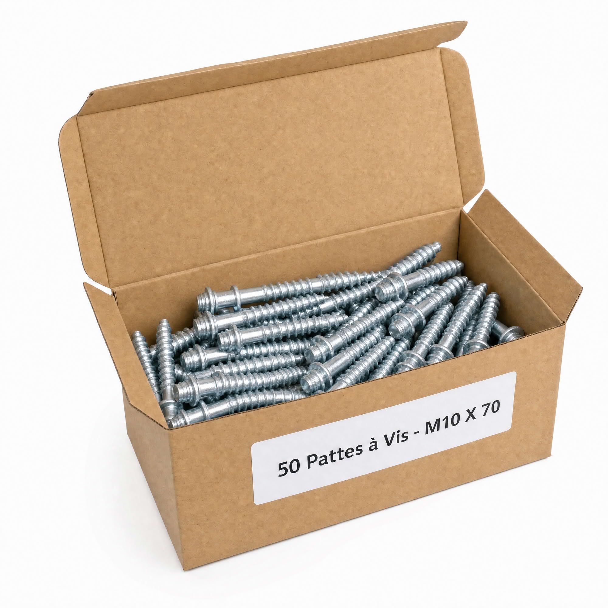 50 Pattes à Vis - M10 X 70