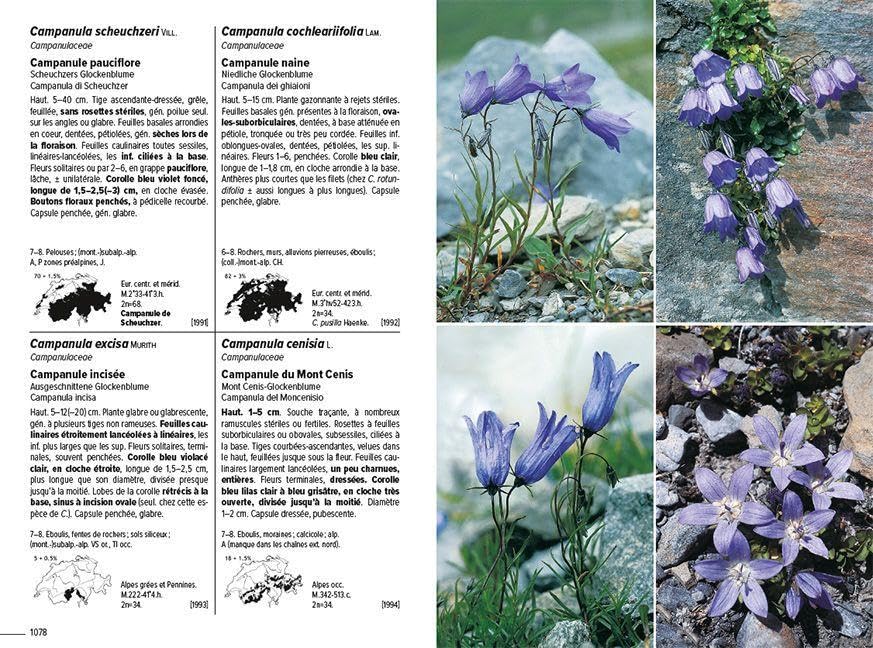 Flora Helvetica - Flore illustrée de Suisse: avec 3250 descriptions de plantes à fleurs, de fougères et de plantes cultivées, avec cartes de distribution