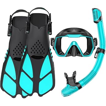 Adult Snorkel Set with Fins Diving Mask Dry Top Snorkel and Carry Bag