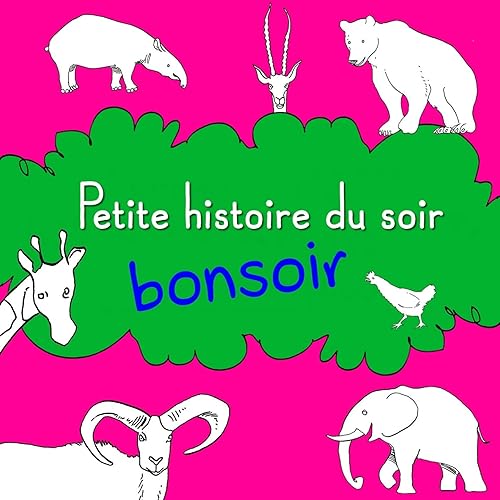Petite Histoire Du Soir Bonsoir By Sebastien Brochot On Amazon Music Amazon Com