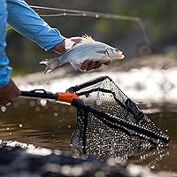 Vista 6 de KastKing Pontus - Red de pesca para pescar, plegable y ligera, red de pesca de agua dulce con escala de longitud integrada, mango de aluminio, malla