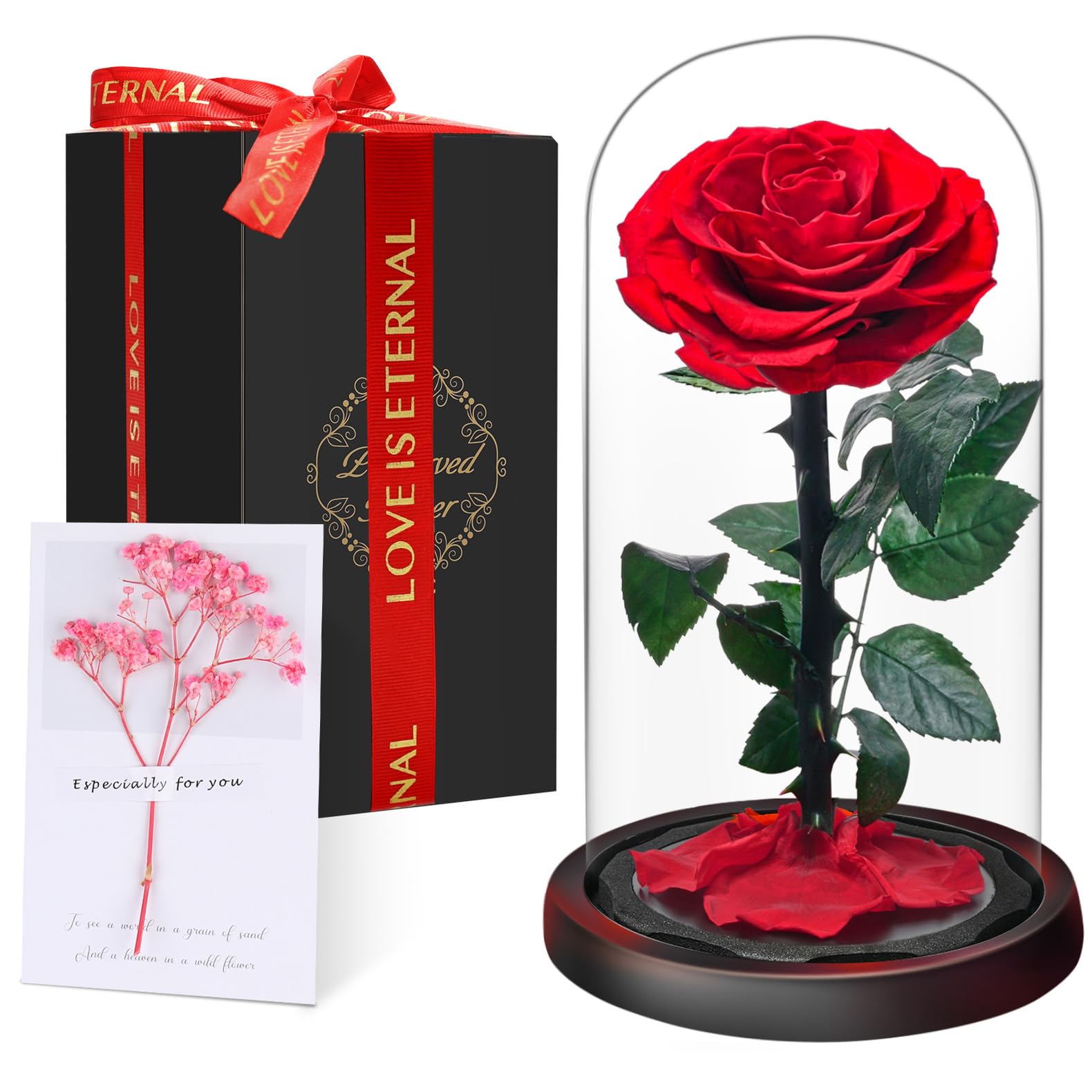Rose Set Birthday Gifts for Women | Eternal Forever Rose in Glass Dome | Flower Preserved for 5 Years | Handcrafted | Beauty and the Beast Gift for Her Wife Gir