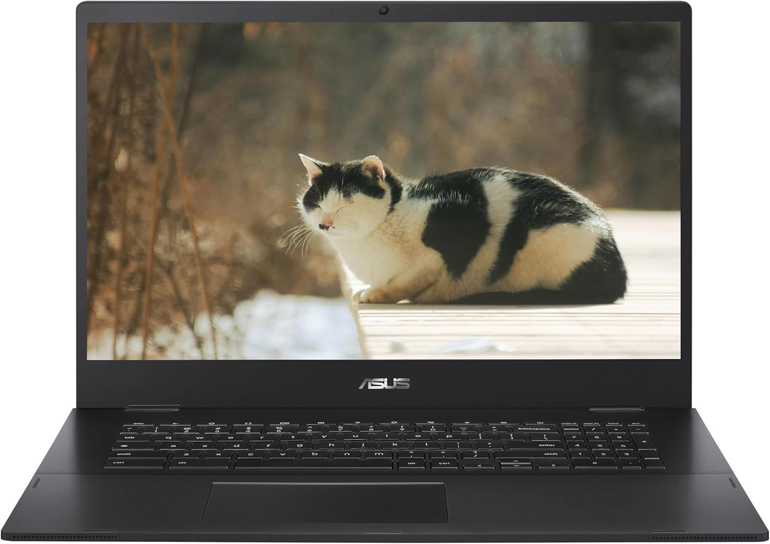 ASUS 2025 17" FHD IPS Chromebook, Intel Celeron Processor Up to 2.80GHz, 4GB Ram, 128GB SSD, Super-Fast WiFi, Full Size Keyboard, Chrome OS, Star Black, Renewed