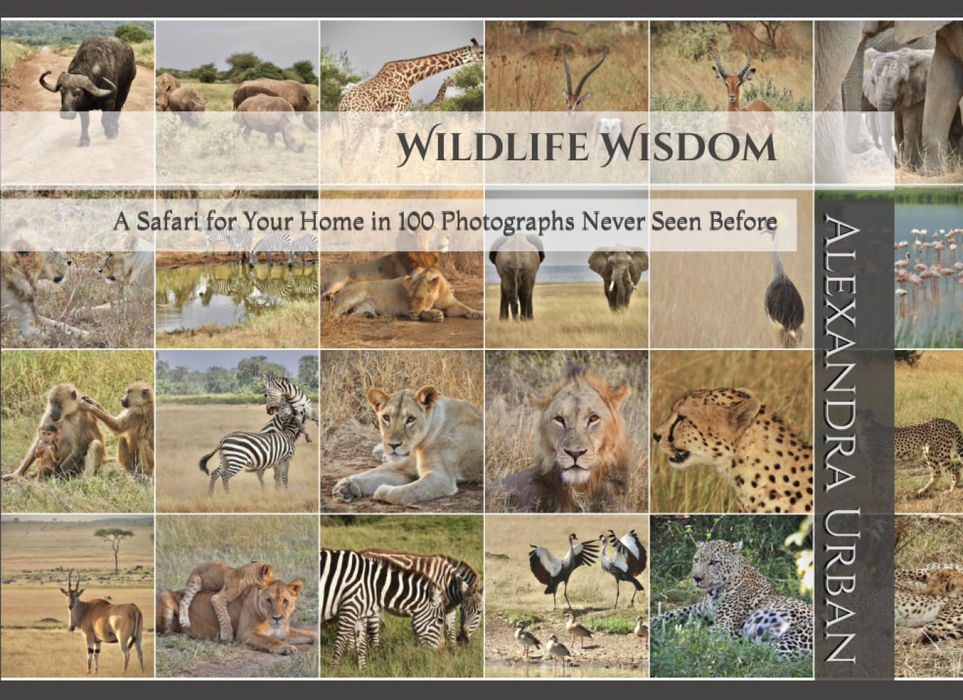 Photographs Safari for Your Home livre photo faune sauvage inédit
