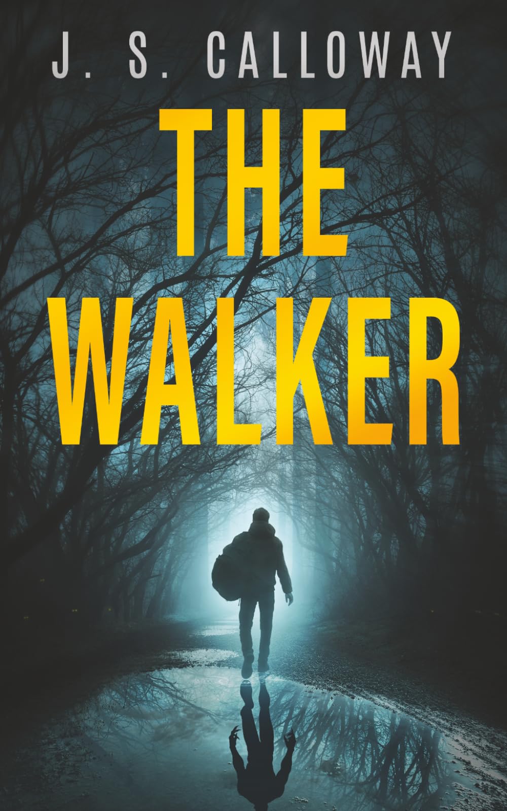 The Walker: A Supernatural Thriller
