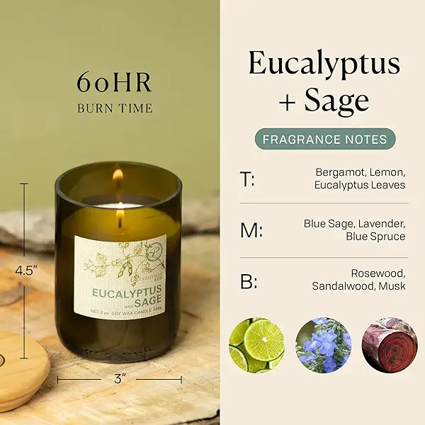 Paddywax Eco Collection Soy Wax Blend Candle in Glass Jar, Eucalyptus & Sage Scent, Green Vessel with Wood Lid, 8 oz 3