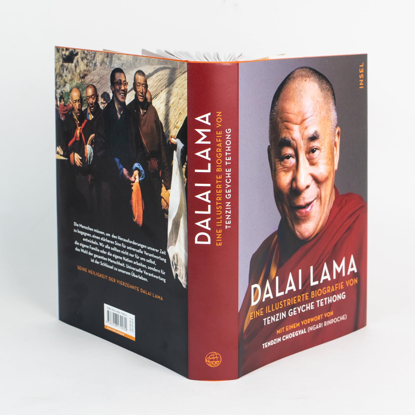 Dalai Lama: Eine illustrierte Biografie