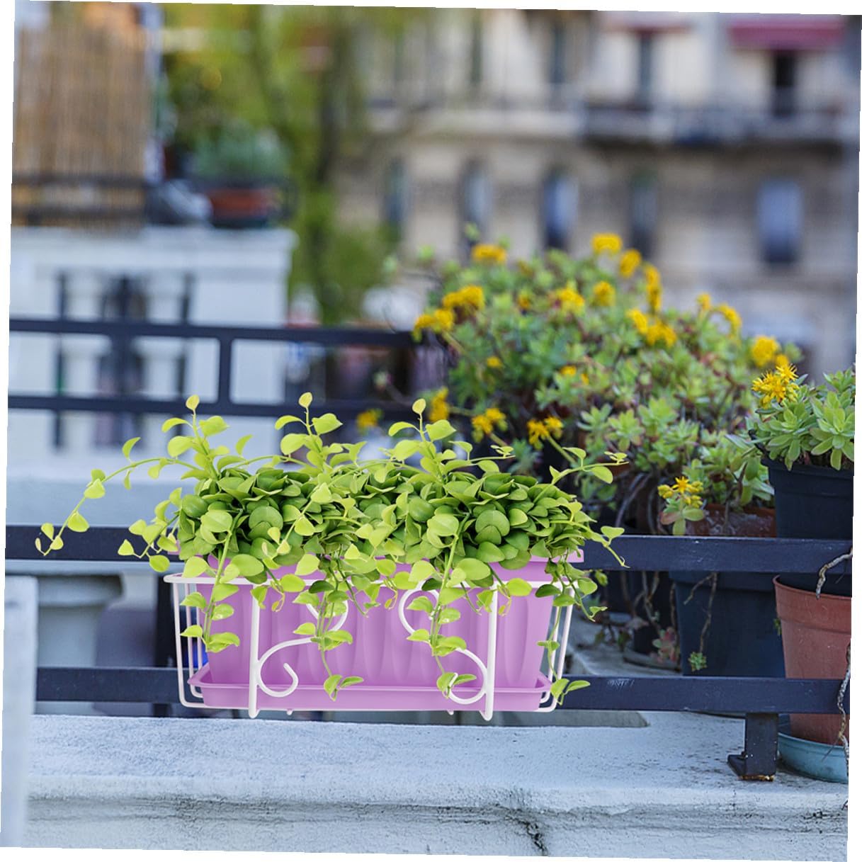 Homoyoyo Rectangular Hanging Window Box Planter with Tray, Medium Herb and Vegetable Plant Container for Outdoor Balcony, Violet Pot with White Metal Frame for Garden and Patio