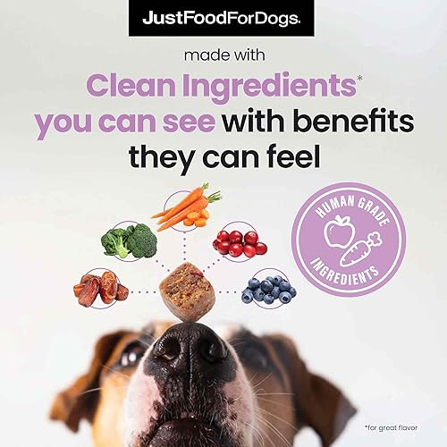 Miniatura 3 de JustFoodForDogs Suplemento de masticables blandos con refuerzo probiótico para la salud intestinal de los perros, apoyo para la salud digestiva,