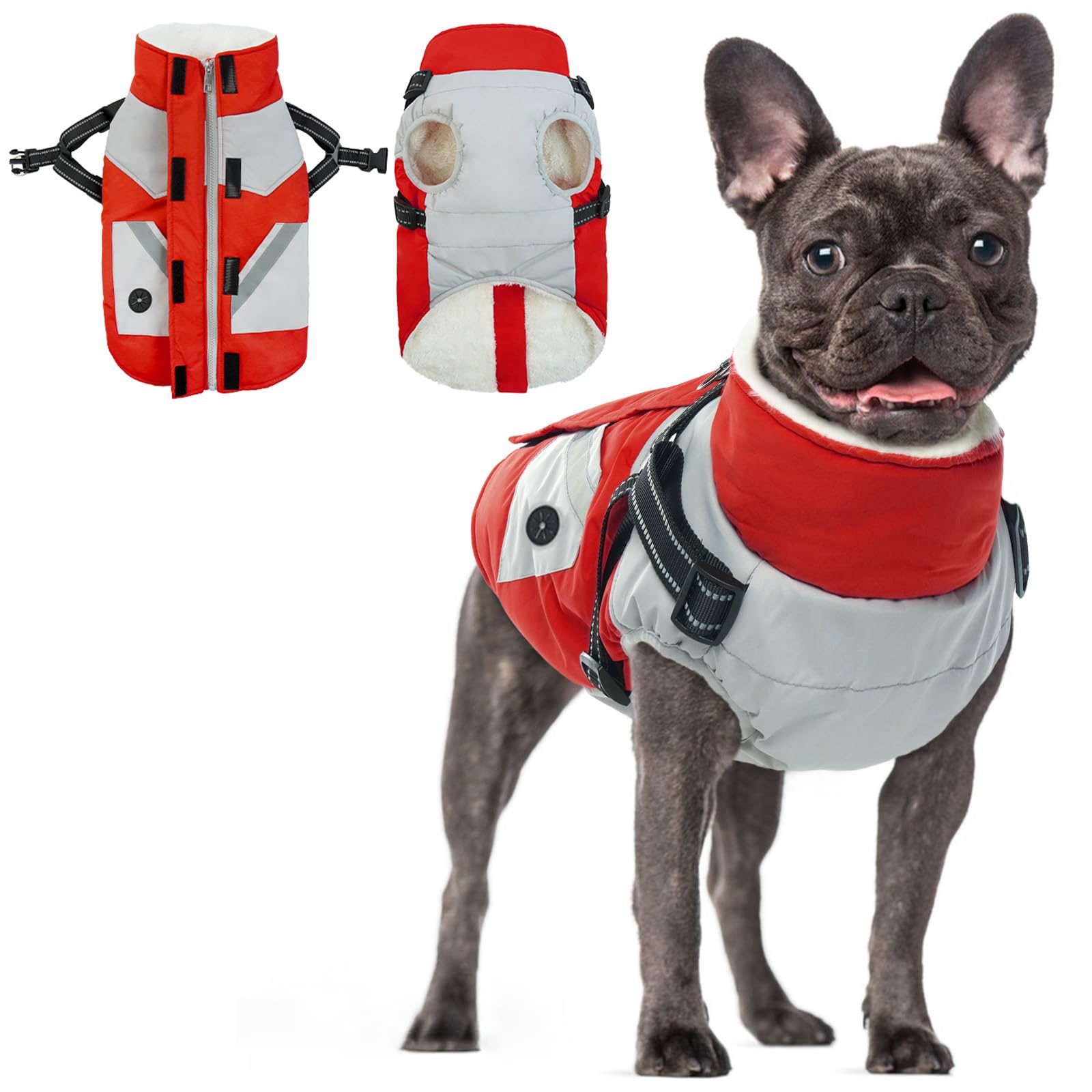 Manteau d'hiver pour petit chien imperméable veste polaire réfléchissante S