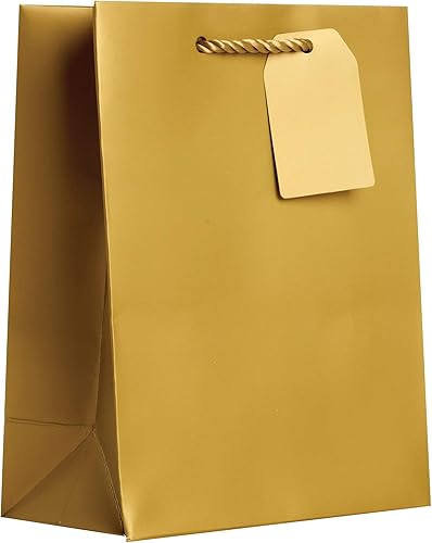 Miniatura 7 de JILLSON & ROBERTS Bolsas de regalo de papel sólido medianas maduras para todas las ocasiones, para Pascua, Día de la Madre, cumpleaños, despedidas