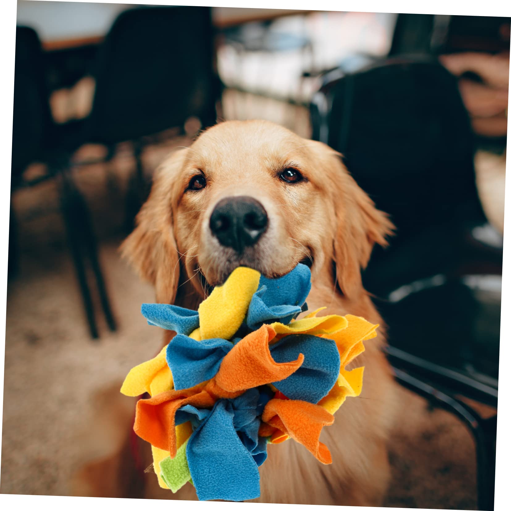 minkissy Juguete de Tela Perros Alimentación para Interactivo Lenta Tira