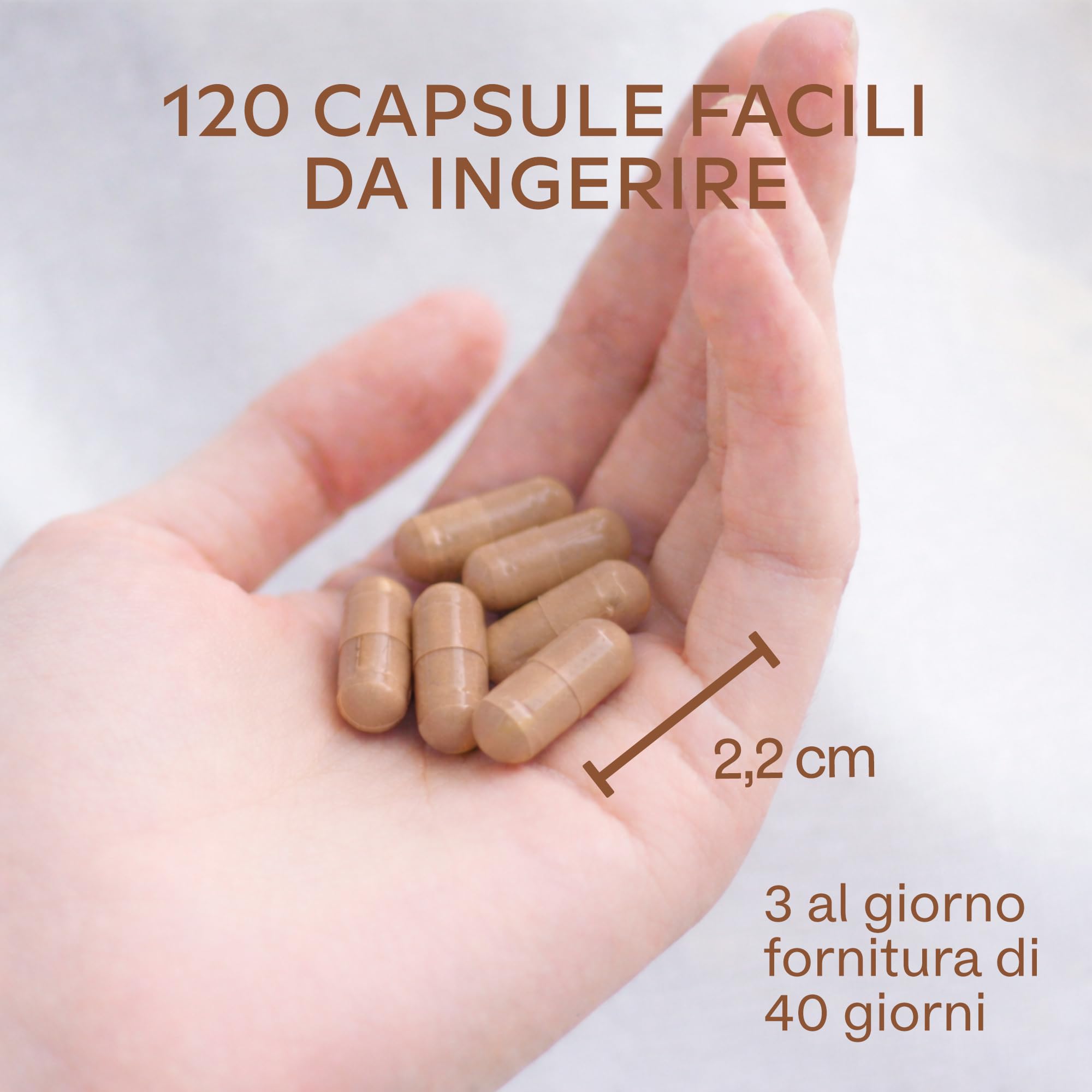 Ashwagandha KSM-66 10000mg Alto Dosaggio (Estratto di Ashwagandha Bio 10:1) Vitamina B6 B1 Zinco Magnesio Manganese, Vegan Ashwaganda Withania Somnifera Ginseng Indiano 5% Withanolidi - 120 Capsule