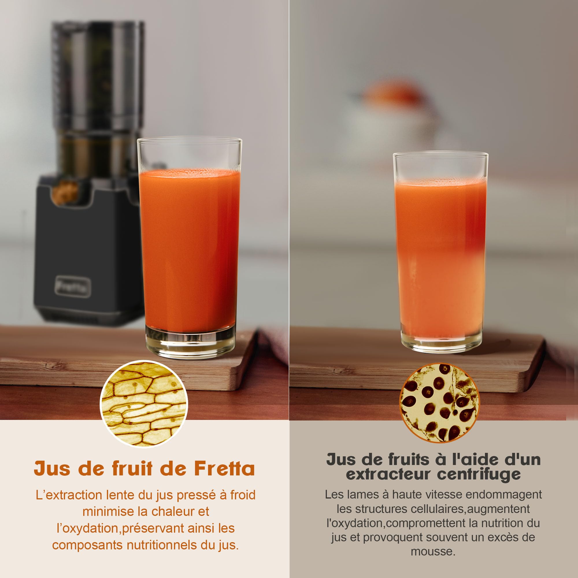 Fretta Extracteur de Jus à Mastication Lente, Grande Goulotte 135mm, Presse-agrumes Automatique 250W, Sans BPA