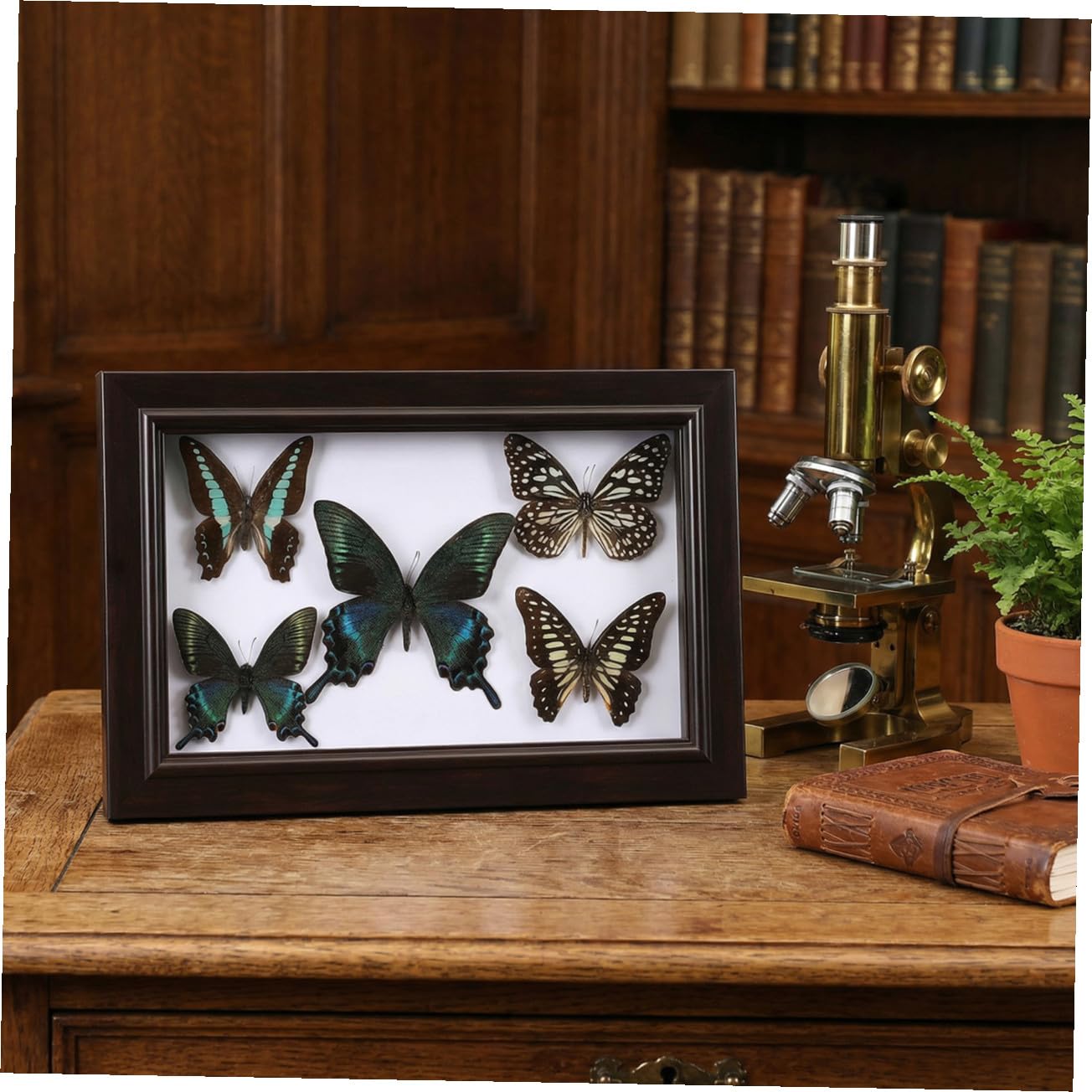 Cuadro Decorativo de Pared con Ejemplar de Lepidóptero A7 en Madera