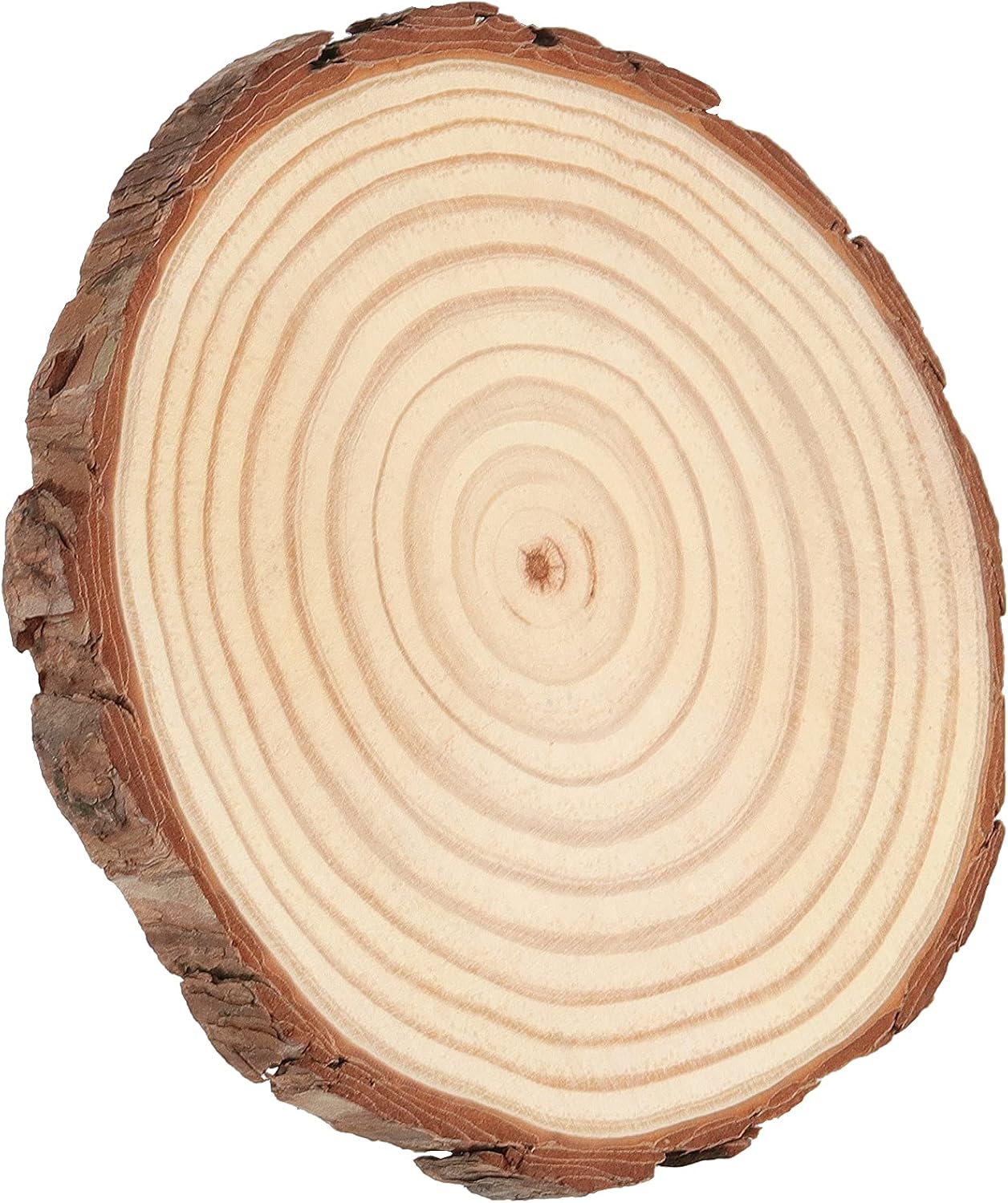 HAKZEON 8 PCS 8-9 Inches Natural Wood Slices, Natural Wood Rounds, Unfinished Wooden Discs for Crafts Rustic Wedding Ornaments, DIY Arts Christmas Home Decor