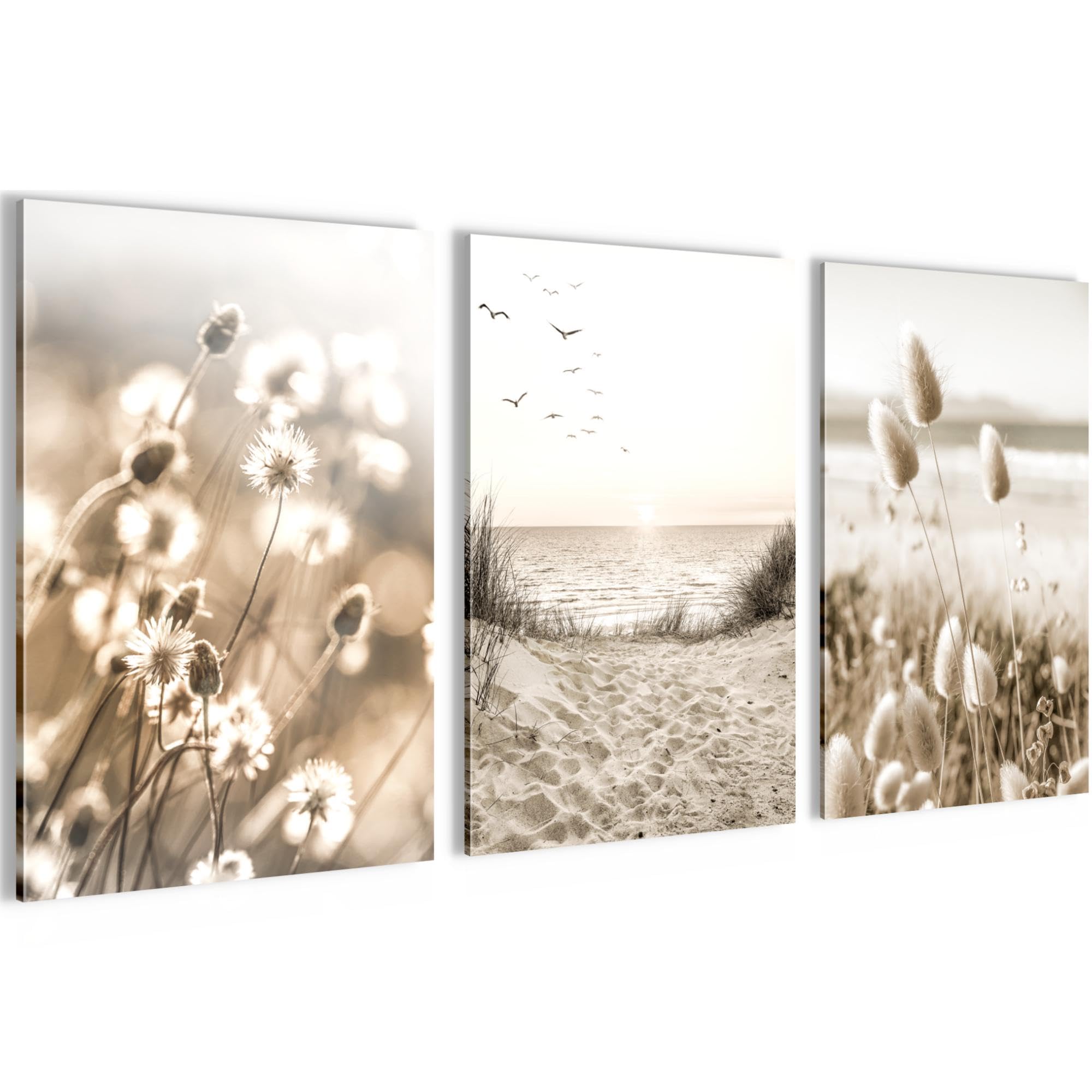 Novart Bilder Set Boho Pampasgras - Kein Extra Rahmen benötigt - Wandbilder für Wohnzimmer Schlafzimmer Flur - 3 Teilig Deko Beige - N035336a