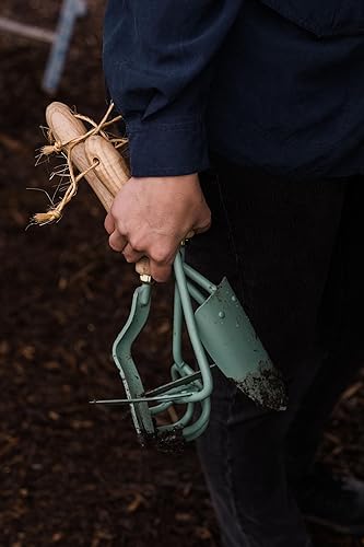 Miniatura 6 de Barebones Paleta de mano de pala, herramientas manuales de jardinería, pala de pala de acero inoxidable, pala de jardín de alta calidad, herramienta