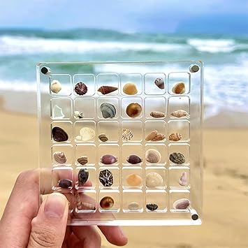 Portable Acrylic Seashell Display Box 36 Grids Diamond Gemstone Storage Organizer Box Clear Mini Beads Storage Box