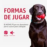 Ver la foto 5