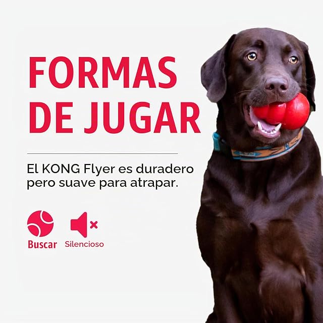 Foto 5 de 8 de Kong - Frisbee Kong para perros Flyer
